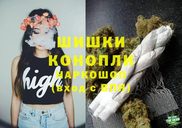 молекула духа Белая Холуница