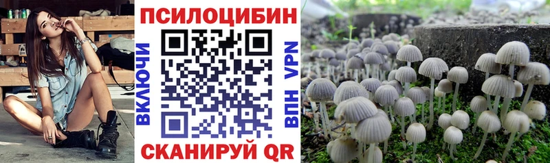Галлюциногенные грибы Magic Shrooms где продают Нягань